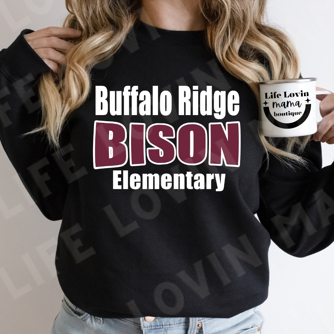 Buffalo Ridge Elementary